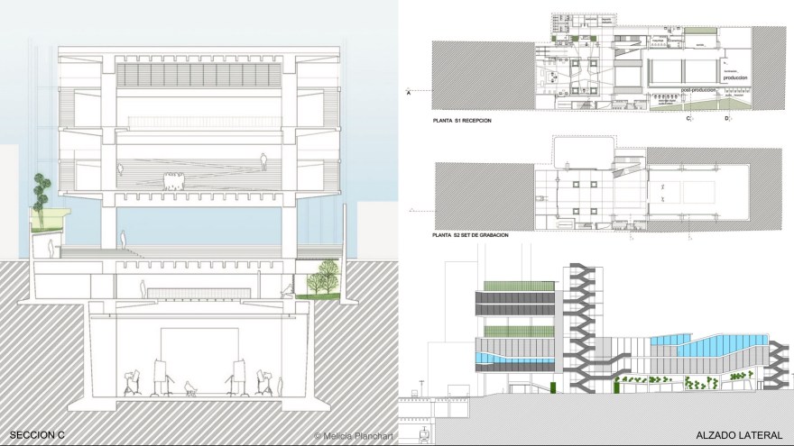 1 mp tesis Seccion plantas